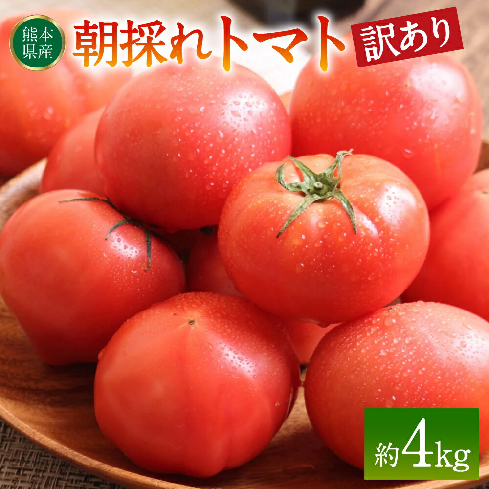 【ふるさと納税】【訳あり】朝採れトマト 約4kg 熊本県 八代市産 とまと 野菜 新鮮