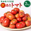 【ふるさと納税】【先行予約】【選べる発送月】訳あり トマト 2kg 熊本県 八代市 特産品 規格外 トマト 野菜 やさい 新鮮 とまと ご家庭用 まとめ買い 産地直送 九州産 熊本県産 八代市産 送料無料 【2023年10月下旬以降ご選択月に発送予定】 5,000円