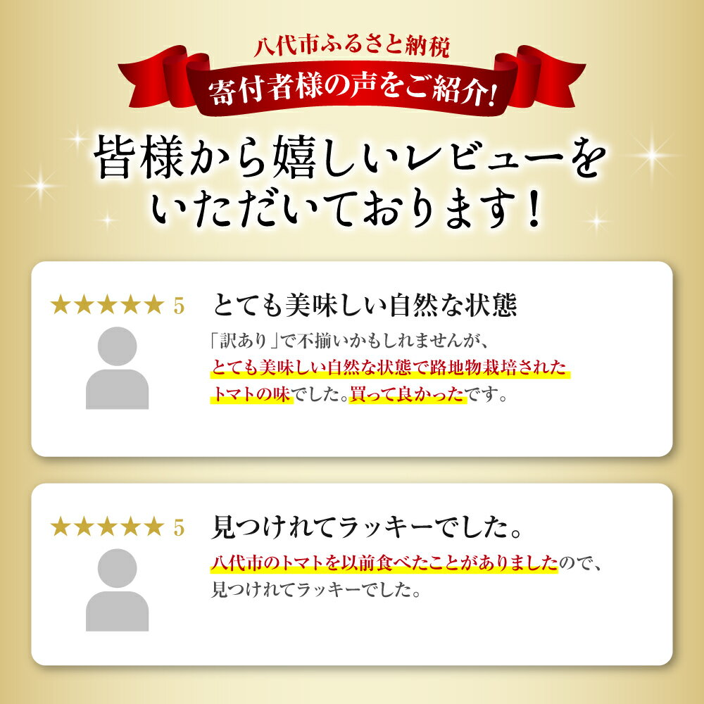 【ふるさと納税】 【選べる内容量】 訳あり トマト 1.5kg ～ 4.5kg 熊本県 八代市 特産品 規格外 トマト 野菜 やさい 新鮮 とまと ご家庭用 まとめ買い 産地直送 九州産 熊本県産 八代市産 順次発送 送料無料