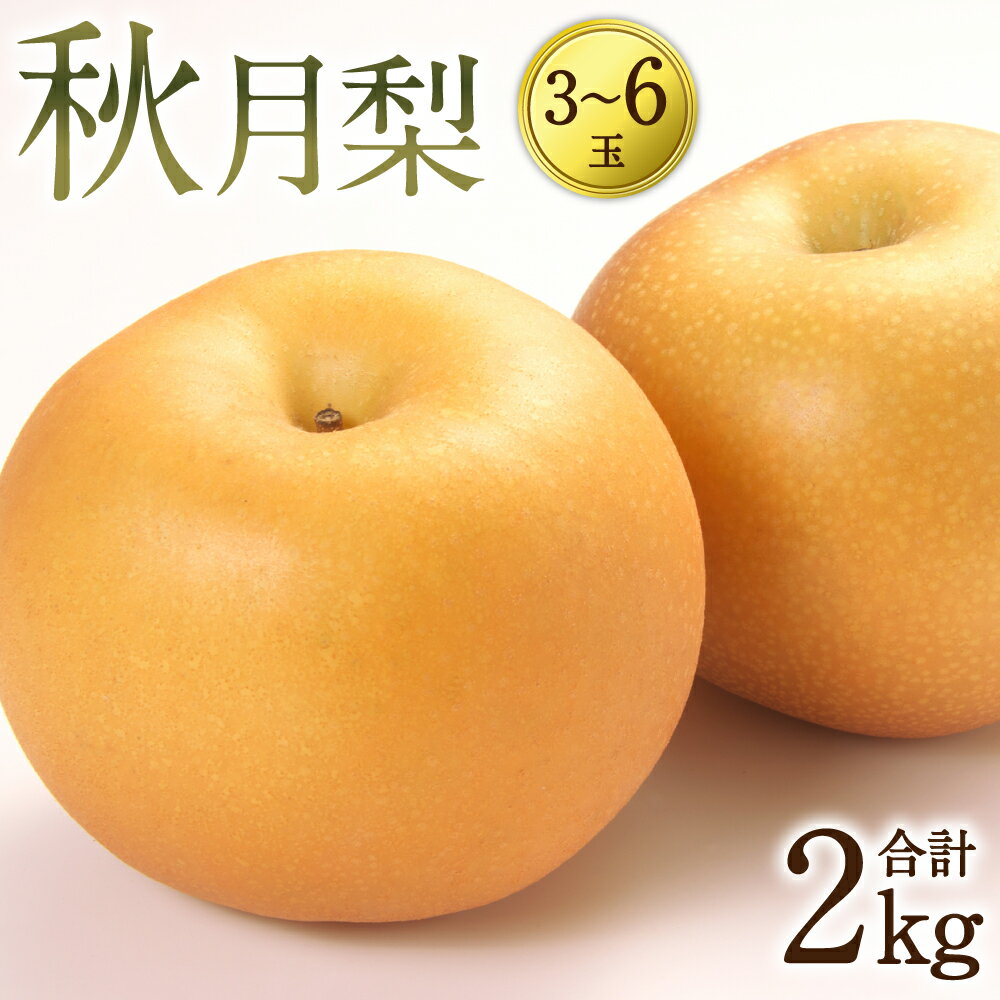 【ふるさと納税】【先行予約】秋月梨 約2kg 3-6玉 梨 熊本県産 八代市 秋月 果物 フルーツ 旬 熊本県 八代市 送料無料【2023年9月上旬発送開始】