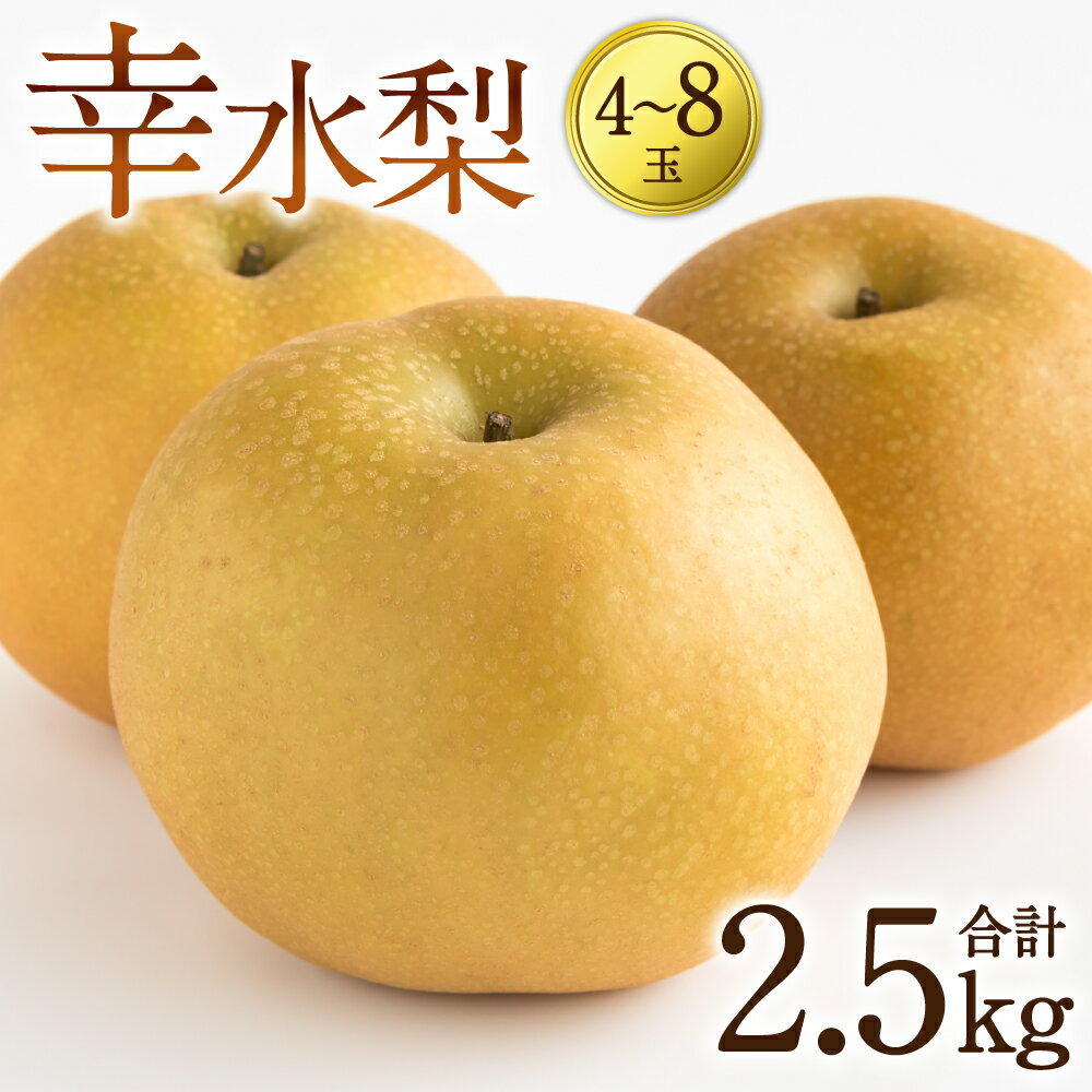   幸水梨 2.5kg(4～8玉) 梨 熊本県産 八代市 果物 フルーツ 旬 熊本県 送料無料 