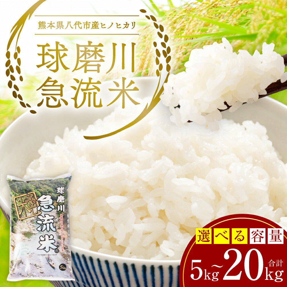 【ふるさと納税】《令和7年産》熊本県八代市産 球磨川急流米 ヒノヒカリ 5kg 国産 白米 精米 お米 コメ 米 ライス ご飯 ごはん 白飯 送料無料