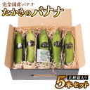  【先行予約】 たかきのバナナ 5本セット 化粧箱入り バナナ 国産バナナ 熊本県 九州 産地直送 フルーツ 果物 送料無料 【2024年6月上旬より順次発送】