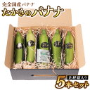 【ふるさと納税】 【先行予約】 たかきのバナナ 5本セット 化粧箱入り バナナ 国産バナナ 熊本県  ...