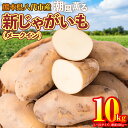 【ふるさと納税】【先行予約】 熊本県八代市産 潮風薫る新じゃがいも (メークイン) 10kg いも 野菜 芋 国産 熊本県 八代市 九州 農作物 送料無料 【2...