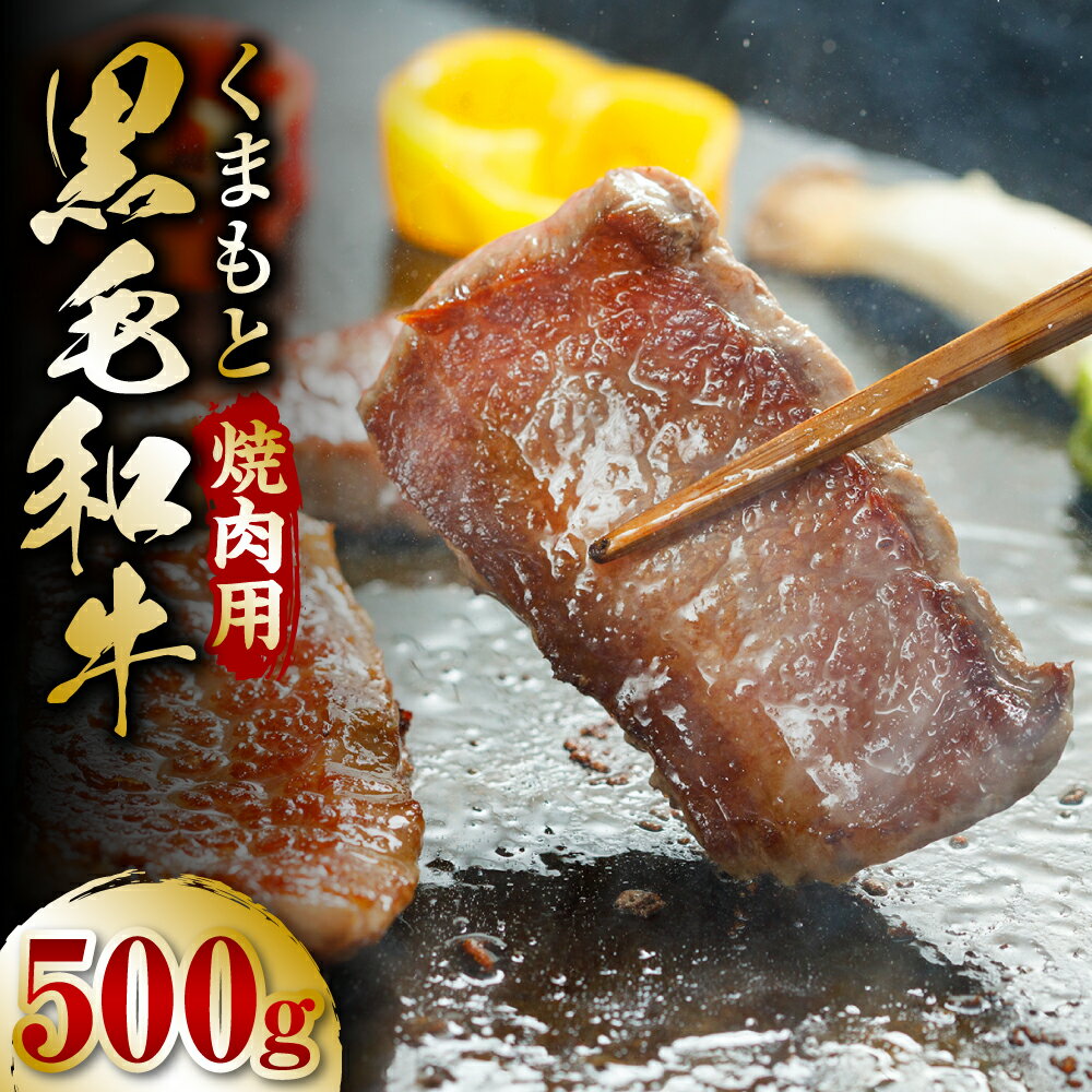 【ふるさと納税】くまもと黒毛和牛 焼肉用 500g 黒毛和牛 和牛 牛肉 焼肉 焼き肉 国産 九州産 熊本県産 送料無料