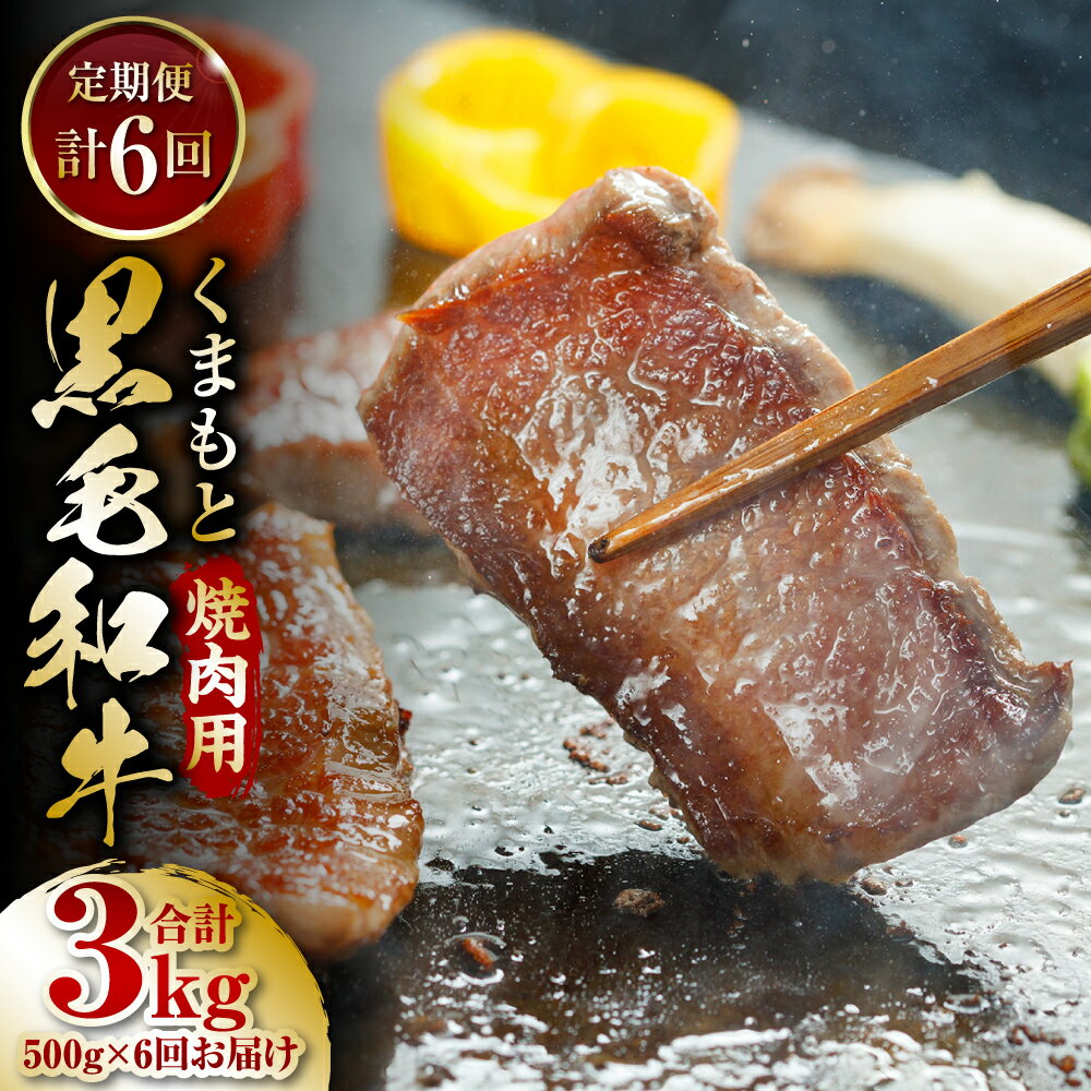 【ふるさと納税】【定期便6回】くまもと黒毛和牛 焼肉用 50