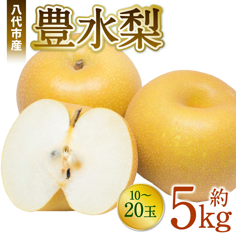 【ふるさと納税】【2023年8月上旬より順次発送】 八代市産 豊水梨 5kg 10-20玉 和梨 果物 フルーツ 国産 九州産 熊本県産 八代産 送料無料のサムネイル