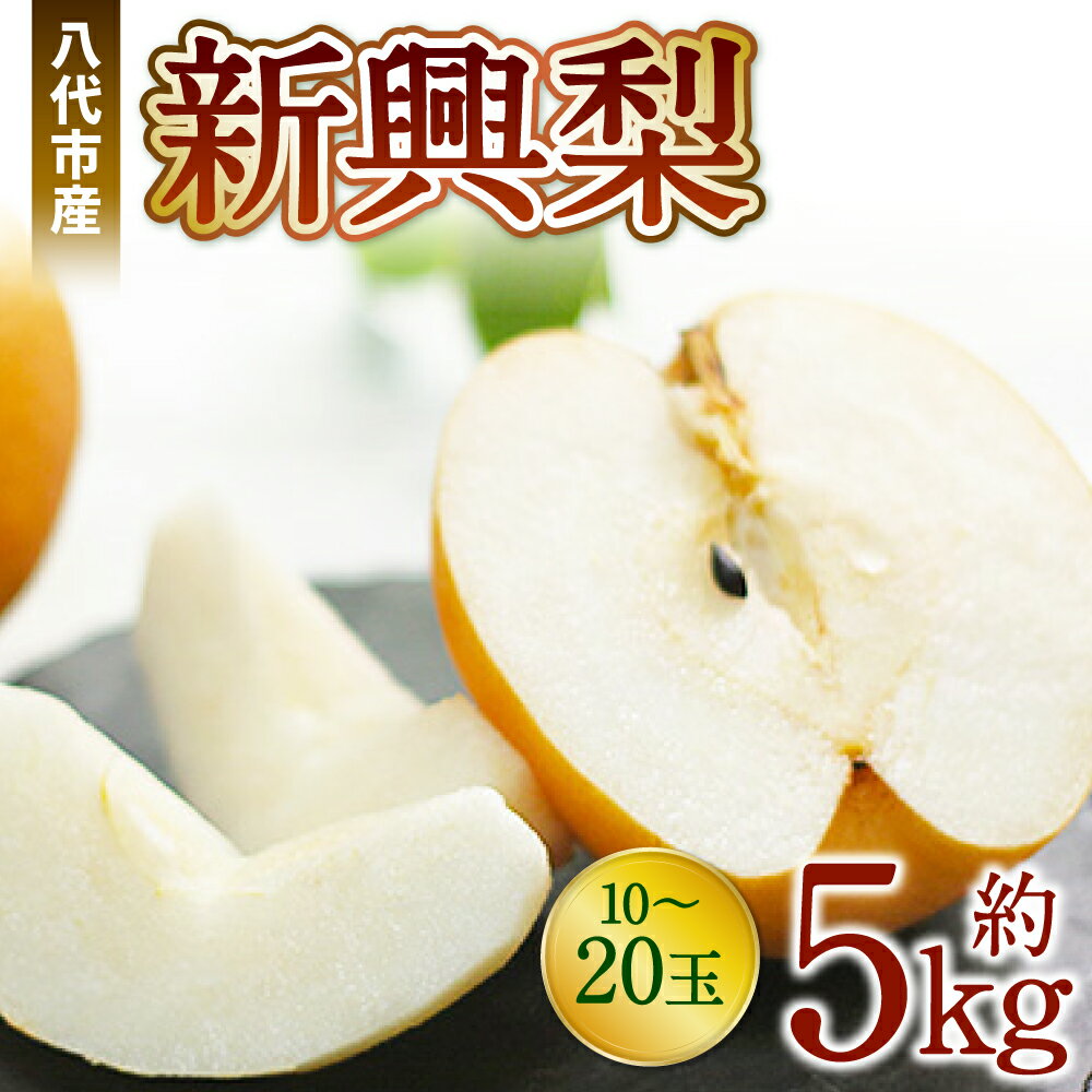【ふるさと納税】【先行予約】八代市産 新興梨 5kg 10-20玉 和梨 果物 フルーツ 国産 九州産 熊本県産 八代産 送料無料 【2023年10月下旬より順次発送】のサムネイル