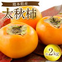 【ふるさと納税】 【先行予約】 太秋柿 約2kg 果物 くだもの フルーツ 旬 送料無料 【2025年10月上旬より順次発送】