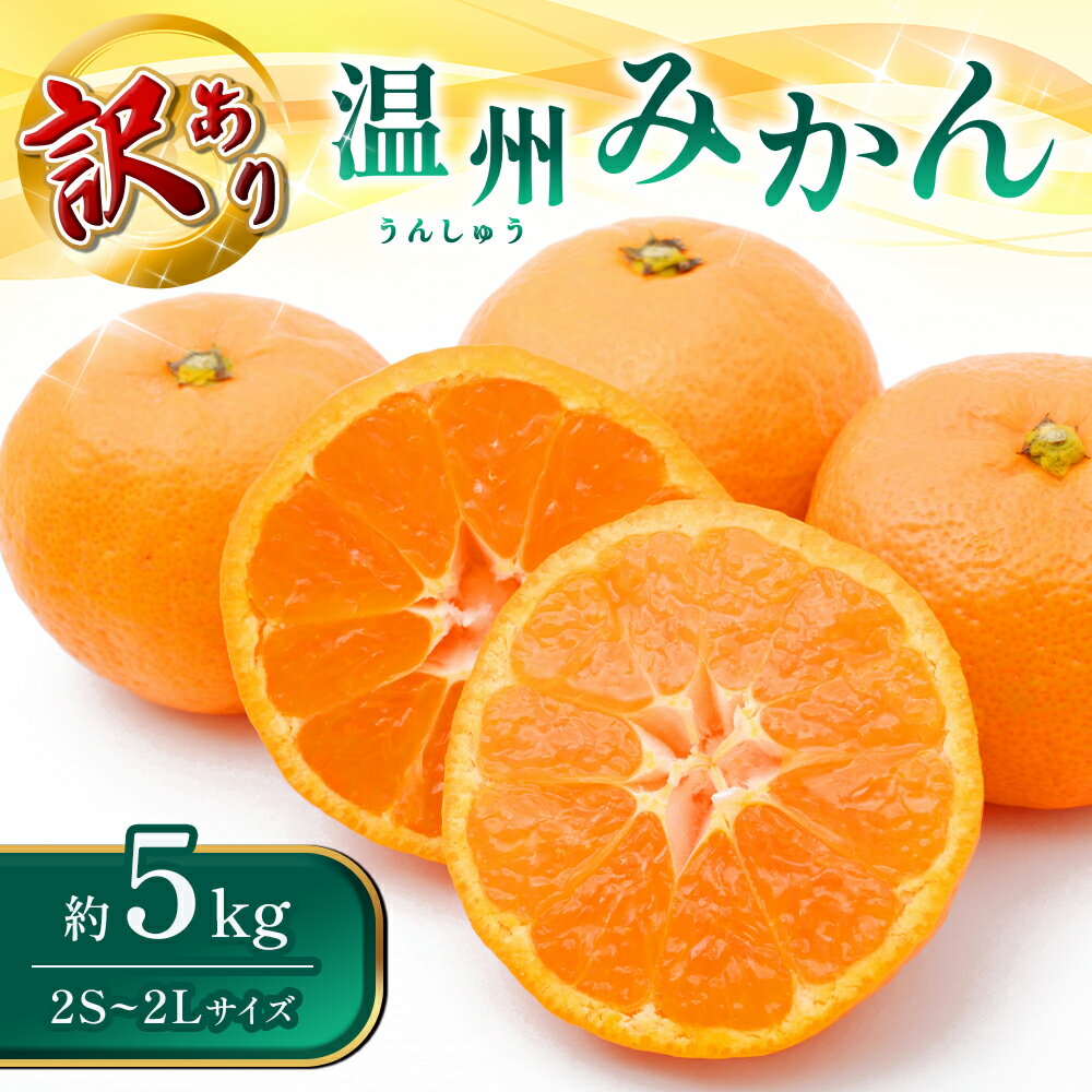 【ふるさと納税】【先行予約】【訳あり】熊本県 八代市産 温州みかん 約5kg 2Sサイズ-2Lサイズ ミカン 蜜柑 旬 フルーツ 果物 送料無料 【2023年11月上旬より順次発送】のサムネイル