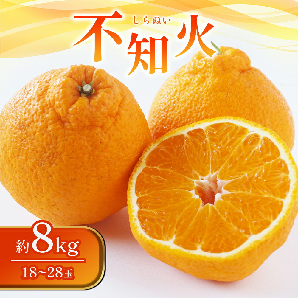 【ふるさと納税】 【先行予約】 不知火 みかん 約8kg 18-28玉 果物 フルーツ 柑橘 国産 九州産 熊本県産 八代産 【2024年2月上旬より順次発送】のサムネイル