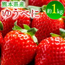 【ふるさと納税】【先行予約】ゆうべにいちご 約1kg 果物 くだもの 旬 ジャム 季節の果物 【2026年2月上旬より順次発送】