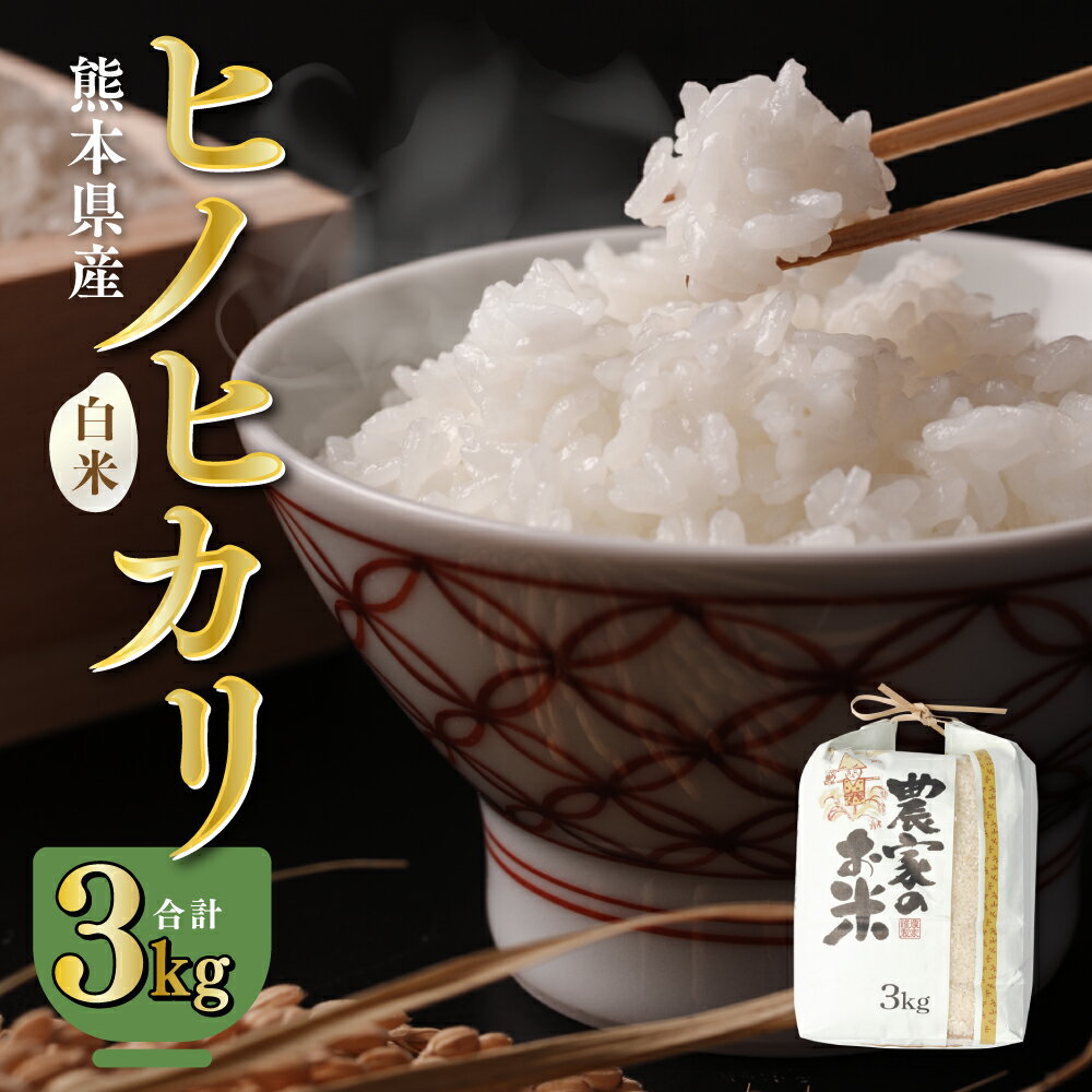 八代市産 ヒノヒカリ 3kg 令和5年産 米 熊本 送料無料