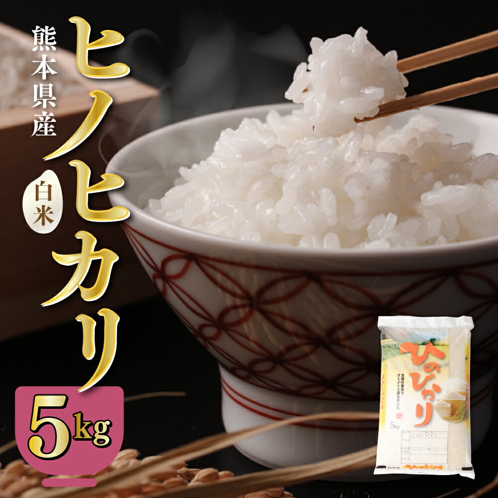 八代市産 令和5年産 ヒノヒカリ 5kg 白米 お米 米 ご飯 精米 九州産 熊本県産 送料無料