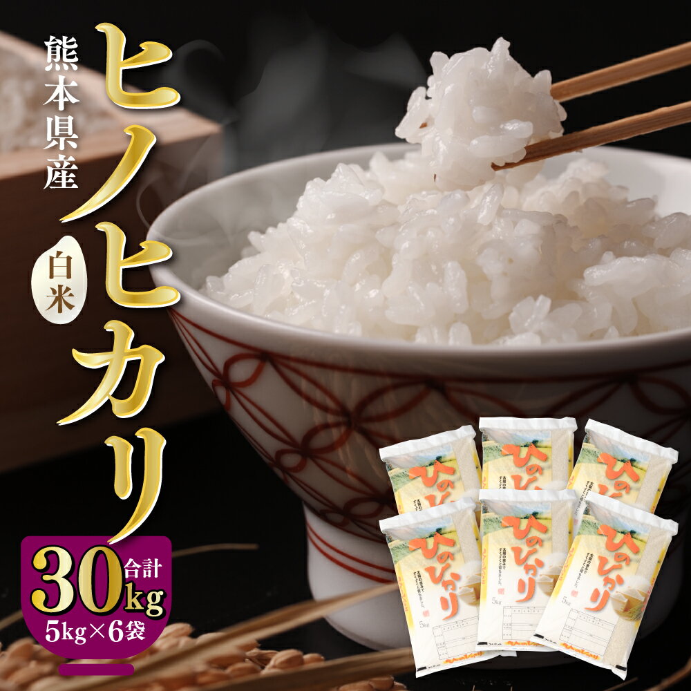 八代市産 令和5年産 ヒノヒカリ 30kg (30kg×1袋) 白米 お米 米 ご飯 精米 九州産 熊本県産 送料無料