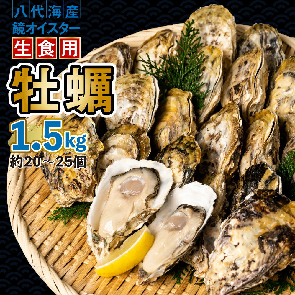 【ふるさと納税】【先行予約】 牡蠣　鏡オイスター 生食用 1.5kg オイスター 生かき 新鮮 送料無料【2024年12月中旬より順次発送】のサムネイル