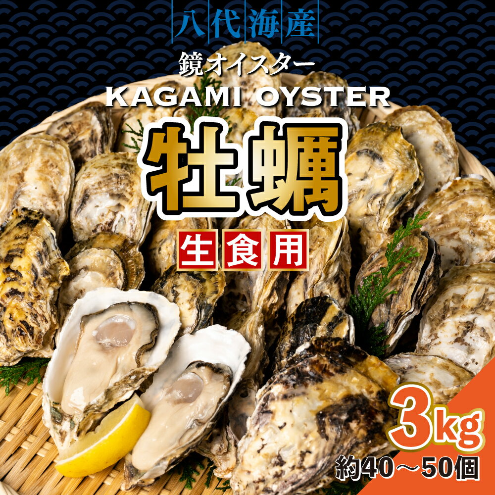 【ふるさと納税】【先行予約】 牡蠣 鏡オイスター 生食用 3kg オイスター 生かき 新鮮 おつまみ BBQ 送料無料 【2025年12月中旬より順次発送】