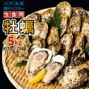 【ふるさと納税】【先行予約】 牡蠣 鏡オイスター 生食用 5kg オイスター 生かき 新鮮 おつまみ BBQ 送料無料 【2025年12月中旬より順次発送】