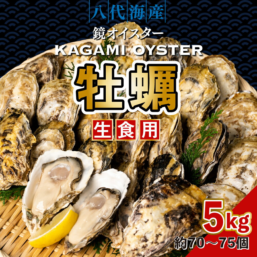 【ふるさと納税】【先行予約】 牡蠣 鏡オイスター 生食用 5kg オイスター 生かき 新鮮 おつまみ BBQ 送料無料 【2025年12月中旬より順次発送】