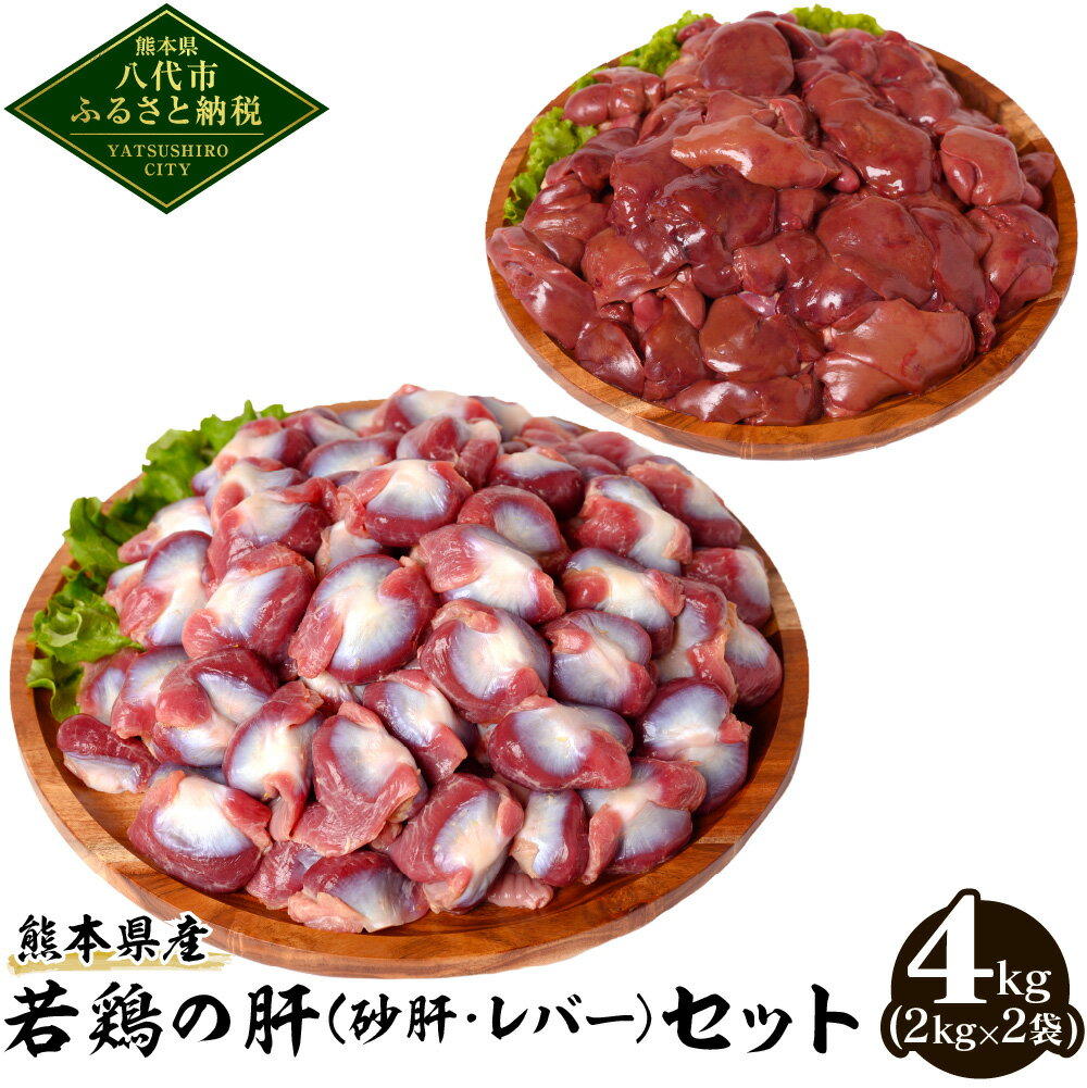 【ふるさと納税】 熊本県産 若鶏の肝 セット 砂肝 レバー 
