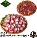 【ふるさと納税】 熊本県産 若鶏の肝 セット 砂肝 レバー 合計4kg 2kg 2袋 各1袋 若鶏 鶏肉 鳥肉 レバー 砂肝 お肉 国産 九州産 冷凍 送料無料