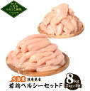 【ふるさと納税】大容量 熊本県産 若鶏ヘルシーセットF 合計8kg ささみ むね肉 各2kg×2袋 鶏肉 鳥肉 ササミ 胸肉 お肉 国産 九州産 冷凍 大容量 ...