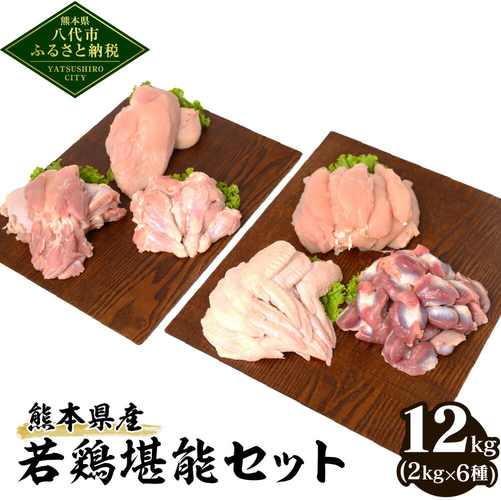 【ふるさと納税】 熊本県産 若鶏堪能セット 合計12kg 2kg×6種 若鶏 鶏肉 鳥肉 もも肉 むね肉 手羽先 ささみ ササミ …
