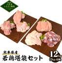  熊本県産 若鶏堪能セット 合計12kg 2kg×6種 若鶏 鶏肉 鳥肉 もも肉 むね肉 手羽先 ささみ ササミ 手羽元 砂肝 お肉 国産 九州産 冷凍 大容量 送料無料