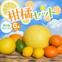 【ふるさと納税】【先行予約】 【晩白柚の玉数が選べる】 柑橘セット 6品以上(晩白柚1〜2玉入り) 柑橘 果物 フルーツ 熊本県産 ばんぺいゆ フルーツ 柑橘 ...