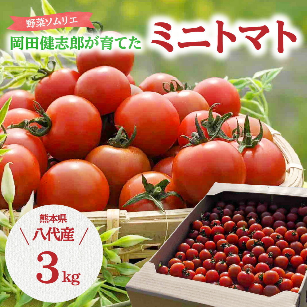 【ふるさと納税】野菜ソムリエ 岡田健志郎が育てた ミニトマト 3kg トマト プチトマト とまと 野菜 生野菜 春 夏 旬 熊本県産 九州 送料無料