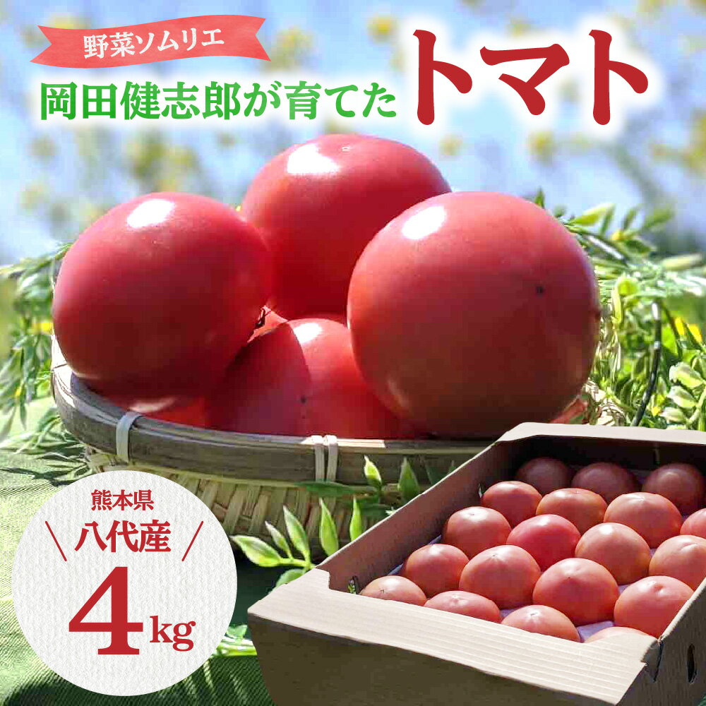 野菜ソムリエ 岡田健志郎が育てた トマト 4kg とまと 野菜 生野菜 春 夏 旬 熊本県産 九州 送料無料