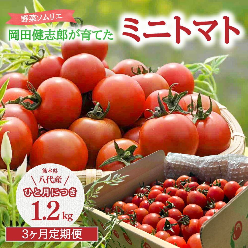 【ふるさと納税】【定期便3回】野菜ソムリエ岡田健志郎が育てた ミニトマト 1.2kg×3回 総合計3.6kg 定期便 トマト プチトマト とまと 野菜 生野菜 冷蔵 熊本県産 九州 送料無料