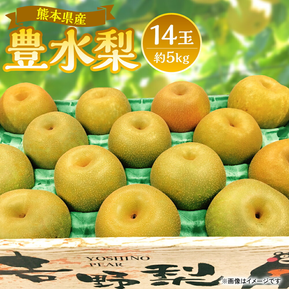 [先行予約] 熊本県産 豊水梨 14玉(約5kg) [2024年8月上旬より順次発送]