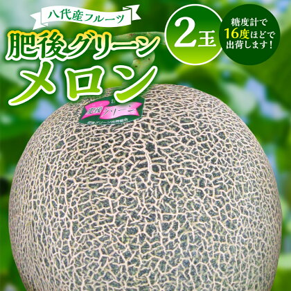 【先行予約】 八代産フルーツ☆肥後グリーンメロン(2玉) 送料無料 【2024年5月下旬より発送】