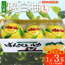 【ふるさと納税】【先行予約】【選べる玉数】 八代産 晩白柚 1~3玉 Lサイズ 1玉約1.6kg前後 くまモンの箱入り ばんぺいゆ 柑橘 フルーツ 果物 旬 くだもの 熊本県産 九州 送料無料 【2025年12月中旬より順次発送】
