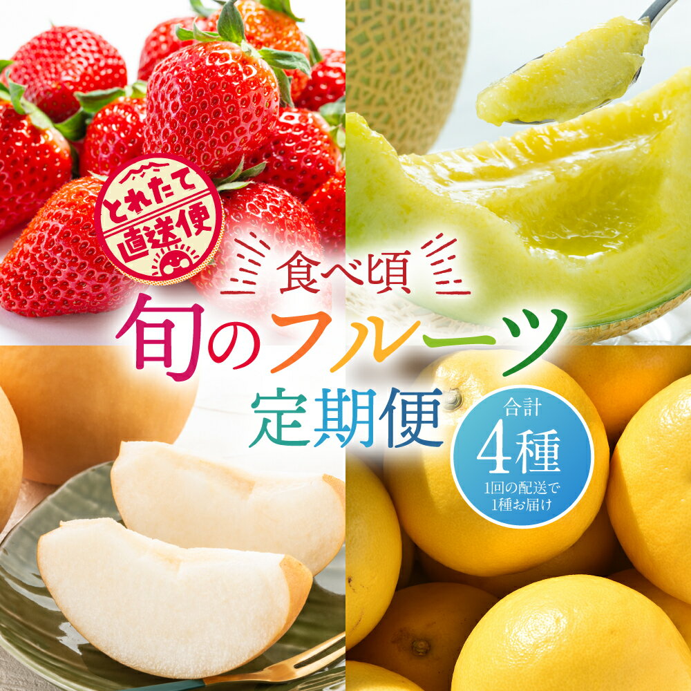 [定期便 年4回]食べ頃!旬のフルーツ定期便(いちご・メロン・梨・チャンドラポメロ) 厳選 採れたて 果物 くだもの デザート 熊本県産 産地直送 送料無料