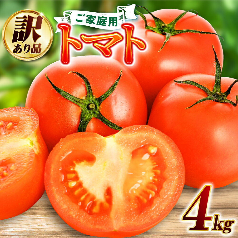 【ふるさと納税】【訳あり】トマト 4kg 八代産 野菜 傷・割れ・変形あり 春 夏 旬 特産 国産 熊本県産 九州 送料無料 予約 フードロス 規格外 傷あり・傷もののサムネイル