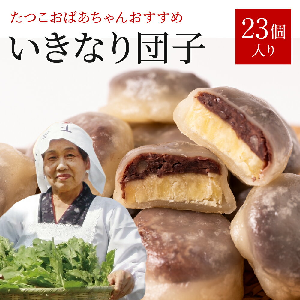 【ふるさと納税】たつこおばあちゃんおすすめ いきなり団子 23個入 1個60g 和菓子 芋 あんこ 熊本名物 郷土菓子 和菓子 おやつ いきなりだんご さつまいも 冷凍 国産 熊本県 九州 送料無料