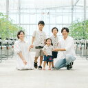 熊本県八代市の画像3
