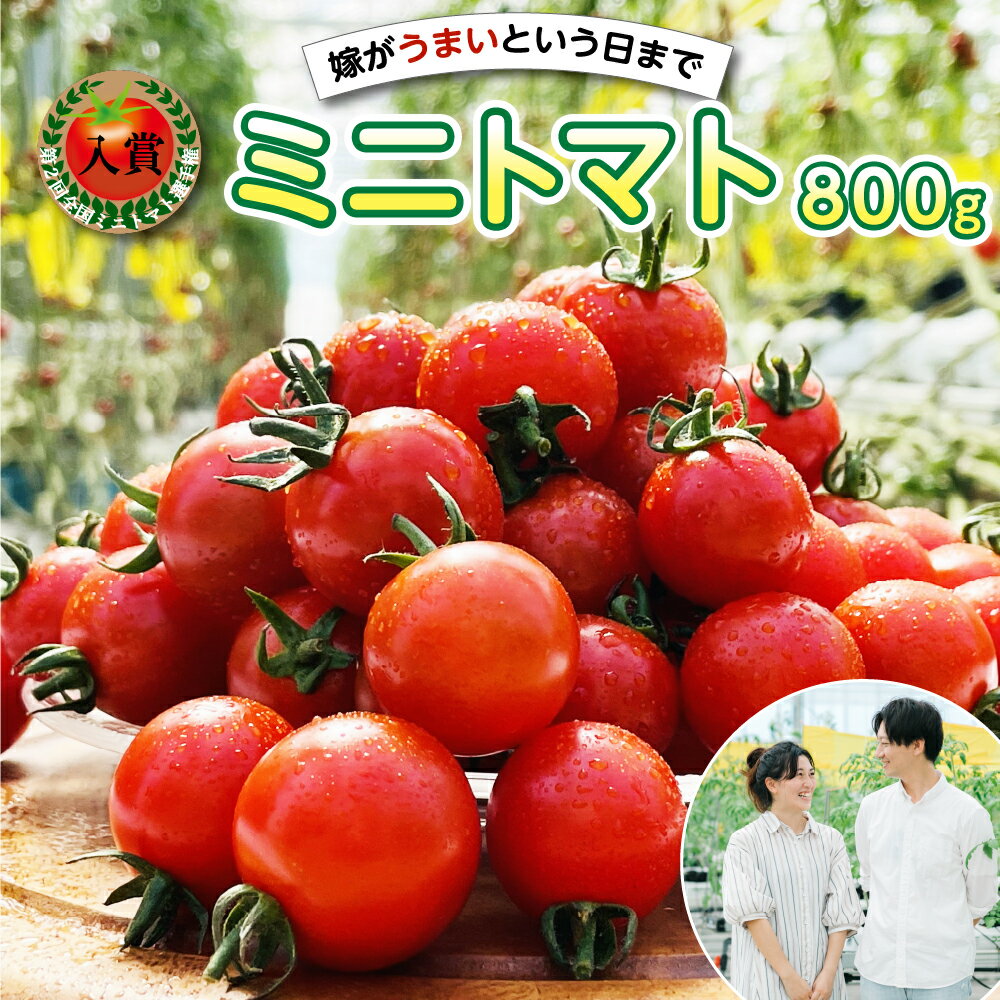 嫁がうまいと言う日まで ミニトマト 800g 野菜 トマト 春 夏 旬 新鮮 サラダ 生野菜 国産 熊本県産 八代市 春 夏 旬 九州 送料無料