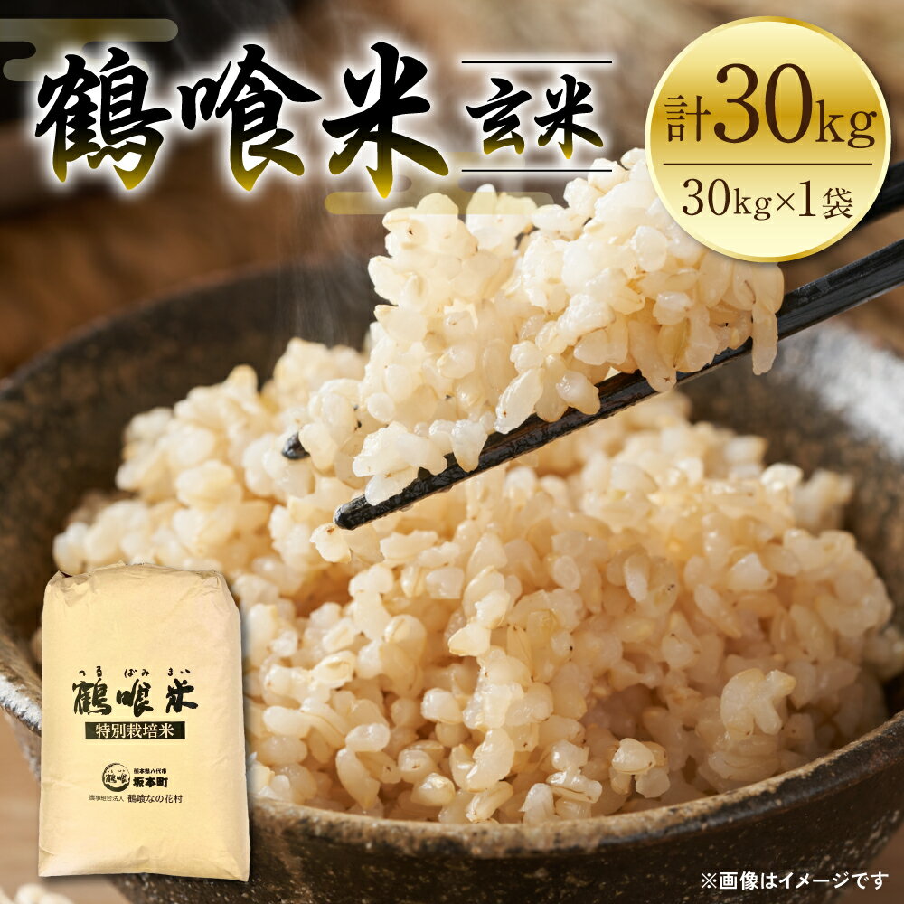 【ふるさと納税】【先行予約】 《令和7年産》 鶴喰米 玄米30kg くまさんの輝き 米 白米 熊本県産 国産 送料無料 【2025年10月中旬より順次発送】