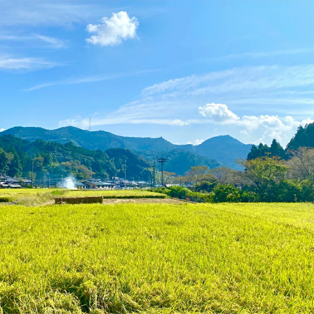 【ふるさと納税】【選べる内容量】《令和7年産》 鶴喰米 精米300g(2合分) ×1袋～3袋 合計300g～900g くまさんの輝き お米 米 白米 精米 ご飯 熊本県産 国産 食べきりサイズ ポスト投函 送料無料