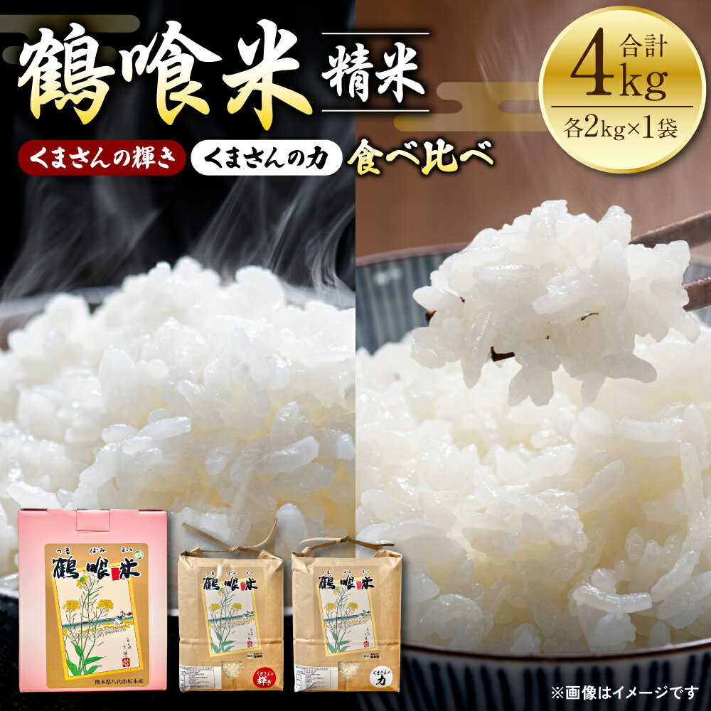 令和5年産 鶴喰米 (つるばみまい) 輝き・力 食べ比べ 4kg 2袋 精米 白米 うるち米 お米 くまさんの輝き くまさんの力 九州産 熊本県産 送料無料