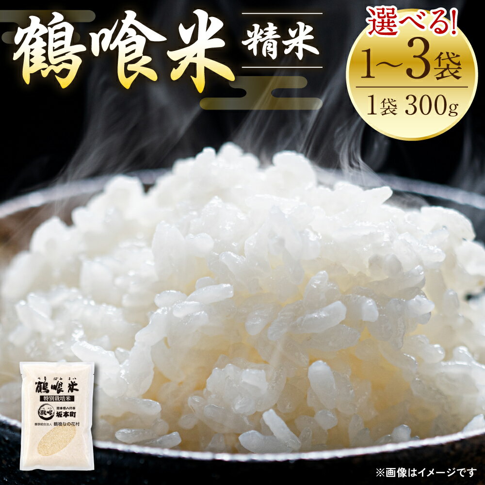【ふるさと納税】 訳あり 令和4年産 鶴喰米 (つるばみまい) 300g×1袋 2合分 精米 白米 米 お米 くまさんの輝き 九州産 熊本県産 送料無料のサムネイル