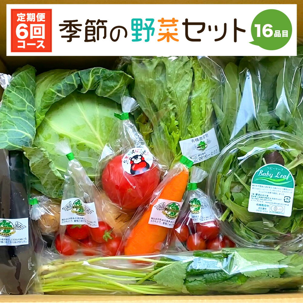 8位! 口コミ数「0件」評価「0」【定期便6回】季節の野菜セット 16品目 毎月1回 計6回 ベジタブル 詰め合わせ 野菜定期便 新鮮 国産 九州産 熊本県産 送料無料