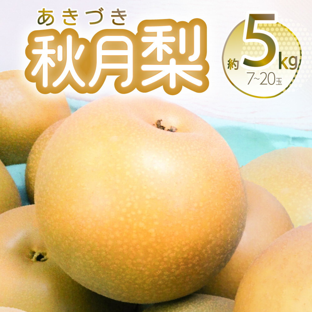 【ふるさと納税】【先行予約】 秋月梨 約5kg 7~20玉 