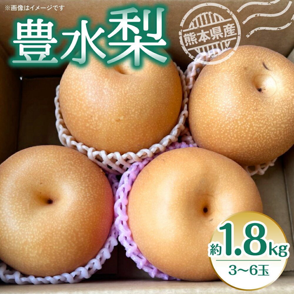 [先行予約]豊水梨 約1.8kg 3~6玉 梨 なし ナシ 豊水 果物 フルーツ 旬 期間限定 熊本県 八代市 送料無料[2025年8月上旬より順次発送]