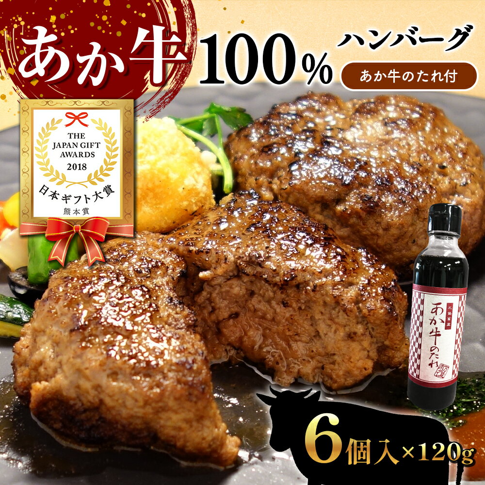 【ふるさと納税】あか牛100％ハンバーグセット (あか牛ハンバーグ120g×6個、あか牛のたれ200ml付き) 牛肉 冷凍 熊本 和牛