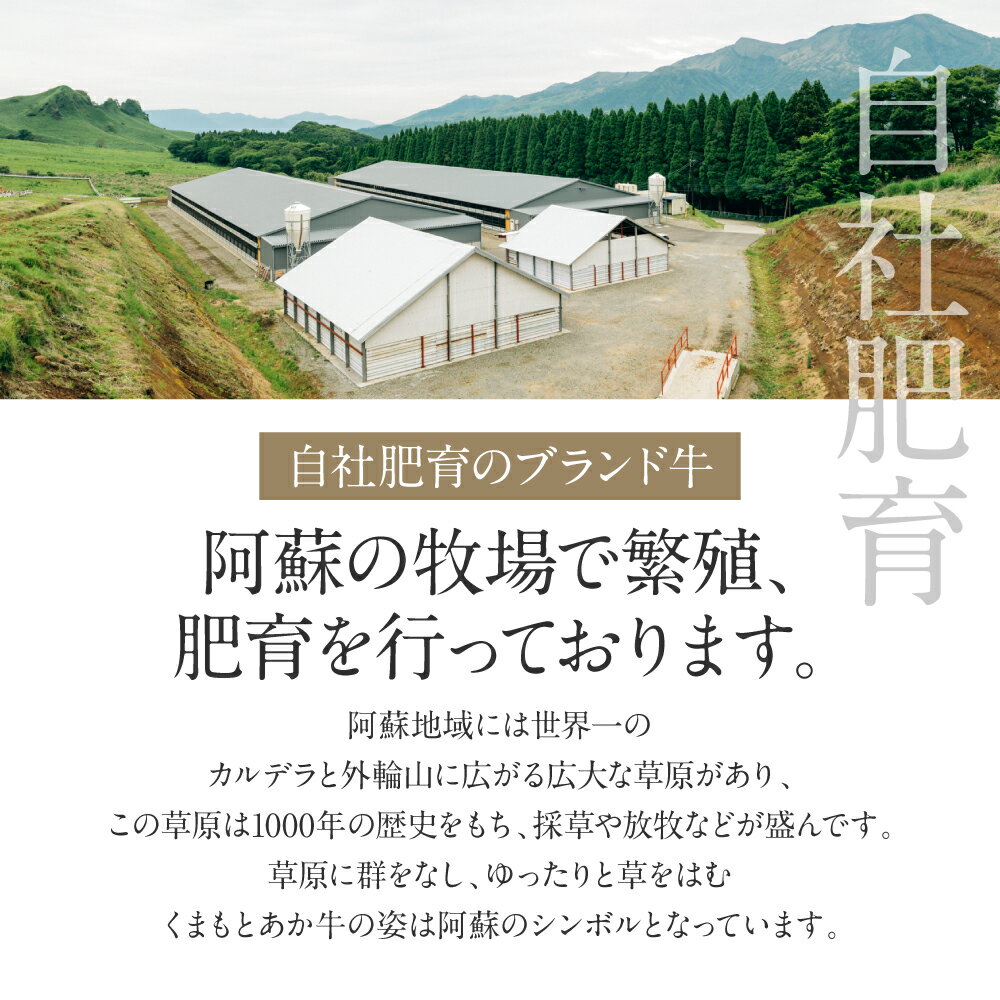 【ふるさと納税】【GI認証】くまもとあか牛サーロインステーキ 200g×3枚 冷凍 食品 グルメ 人気 お取り寄せグルメ うし 牛肉 サーロイン あか牛 ステーキ 牛 3